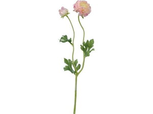 YDM/ tbtB[iLX zCgsN YDMilfBXvC~[WAj FA7056-W/P