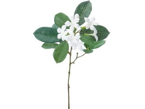 YDM/ WX~V[g zCg YDMilfBXvC~[WAj FA6922-W