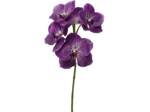 YDM/ R`EV[gXv[ p[v YDMilfBXvC~[WAj FA6916-PU