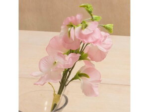 YDM/ XC[gs[o` YDMilfBXvC~[WAj FS7796-P