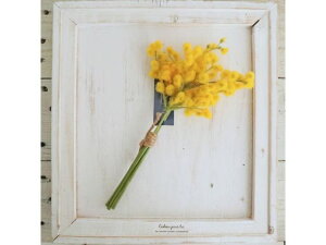 YDM/ ~Uo` CG[ YDMilfBXvC~[WAj FB2413-Y