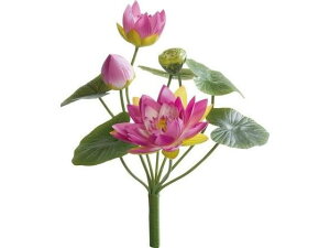 YDM/ [^XubV x_[ YDMilfBXvC~[WAj FB2387-LAV