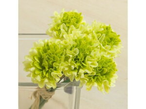 YDM/ ~js|}sbN YDMilfBXvC~[WAj FB2346-GR