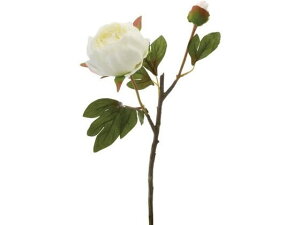 YDM/ {^X2 zCg YDMilfBXvC~[WAj FA6672-W