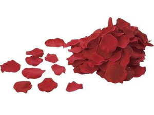 YDM/ [Yy^ bh YDMilfBXvC~[WAj FA-6536R