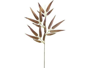 YDM/ ubVou[tXv[ uE YDMilfBXvC~[WAj FS-5425BR