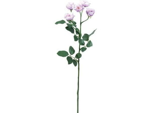 YDM/ [Yi^[Xv[ x_[ YDMilfBXvC~[WAj FF-3016LAV