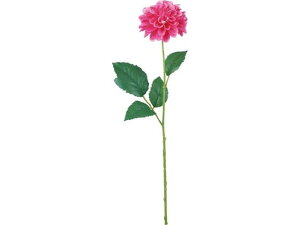 YDM/ _AubN sN YDMilfBXvC~[WAj FF-3017P