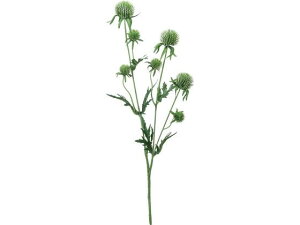 YDM/ O[uVXXv[ O[ YDMilfBXvC~[WAj FF-3019GR