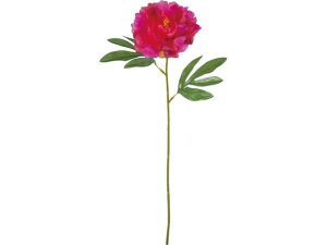 YDM/ VOsIj[ r[eB[ YDMilfBXvC~[WAj FF-3010BTY