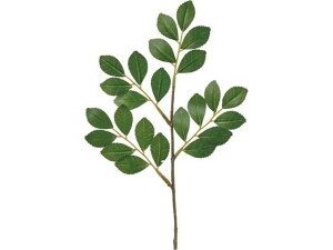 YDM/ qTJLsbN O[ YDMilfBXvC~[WAj FG-5158GR