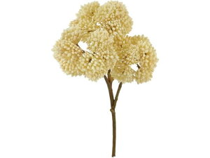 YDM/ I_Z_sbN N[ YDMilfBXvC~[WAj FG-5110CR