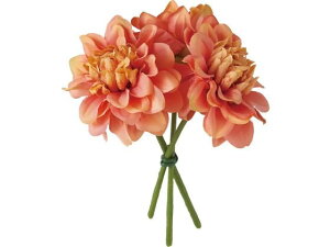 YDM/ t[_Aoh3P IW YDMilfBXvC~[WAj FB-2578OR