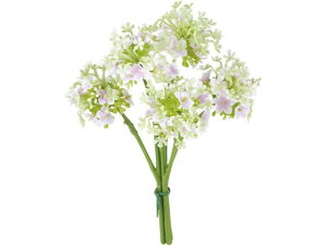 YDM/ t[Xm[{[oh3P x_[ YDMilfBXvC~[WAj FB-2582LAV