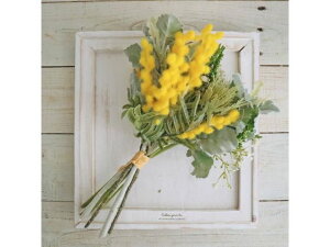 YDM/ ~U~bNXoh CG[ YDMilfBXvC~[WAj FB-2597Y