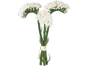 YDM/ X^[`Xo`3P YDMilfBXvC~[WAj FB-2599CR