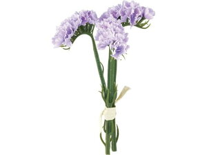 YDM/ X^[`Xo`3P YDMilfBXvC~[WAj FB-2599LAV