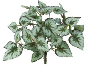 YDM/ xSjAubV O[ YDMilfBXvC~[WAj GL -5271-GR