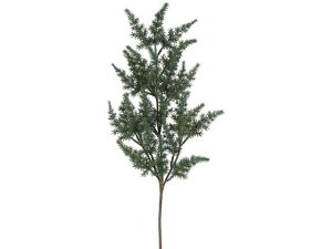 YDM/ Wjp[Xv[ O[ YDMilfBXvC~[WAj FG -5138-GR