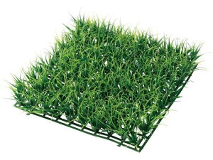 YDM/ EmqQ}bg GR YDMilfBXvC~[WAj GL -5244-GR