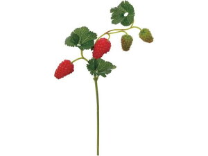 YDM/ Yx[V[g bh YDMilfBXvC~[WAj FG-5102-R