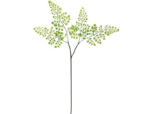 YDM/ AWA^Xv[ YDMilfBXvC~[WAj FG -5045-GR