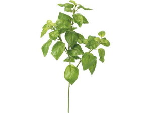 YDM/ oWsbN YDMilfBXvC~[WAj FG -5042-GR