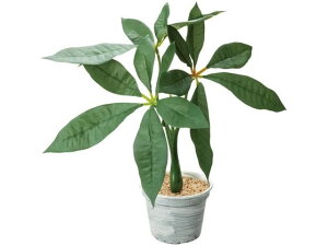 YDM/ pL|bg O[ YDMilfBXvC~[WAj GLA-1490-GR