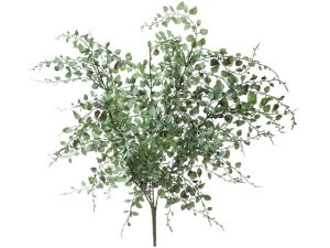 YDM/ XLtHAubV O[S[h YDMilfBXvC~[WAj GL-5233-G/G