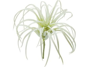 YDM/ `WAsbN zCg YDMilfBXvC~[WAj FG-4586-W