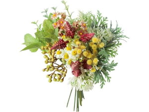 YDM/ n[uO[~bNXoh bh YDMilfBXvC~[WAj FB-2519-R