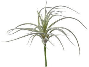 YDM/ XpC_[`WA zCgO[ YDMilfBXvC~[WAj FG-4855-W/G