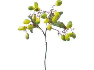 YDM/ I[uu` O[ YDMilfBXvC~[WAj FG-4826-GR