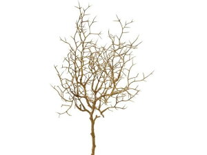 YDM/ EB[u`V[g uE YDMilfBXvC~[WAj FG-4823-BR