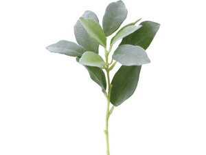 YDM/ YC[V[g O[ YDMilfBXvC~[WAj FGH-0010-GR