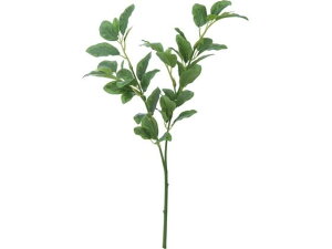 YDM/ ~jtBJX O[ YDMilfBXvC~[WAj FGH-0008-GR