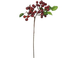 YDM/ tbVx[sbN bh YDMilfBXvC~[WAj FG -4721-R