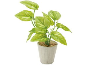 YDM/ ~j|gX|bg O[ YDMilfBXvC~[WAj GLA1301-GR