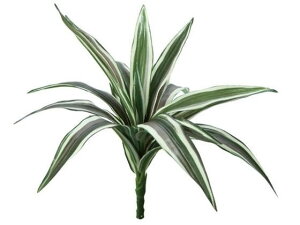 YDM/ ~j-lbL[ubV zCgO[ YDMilfBXvC~[WAj GL5098-W/G