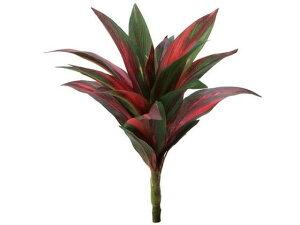 YDM/ ~jRWlubV O[bh YDMilfBXvC~[WAj GL5096-G/R