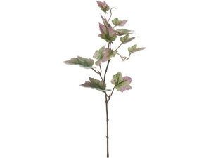 YDM/ O[v[tV[g O[ YDMilfBXvC~[WAj FG4663-GR