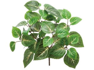 YDM/ REXubV O[ YDMilfBXvC~[WAj GL5063-GR