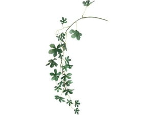 YDM/ VK[oC _[NO[ YDMilfBXvC~[WAj FG4611-DGR