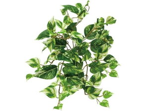 YDM/ |gXubVM YDMilfBXvC~[WAj GL5046