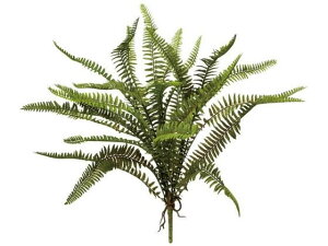 YDM/ V_ubVM O[ YDMilfBXvC~[WAj GL5054-GR