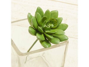 YDM/ ^c^JN^XsbN CgO[ YDMilfBXvC~[WAj FG4463-LGR