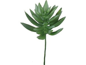 YDM/ xPC\EJN^XsbN O[ YDMilfBXvC~[WAj FG4461-GR