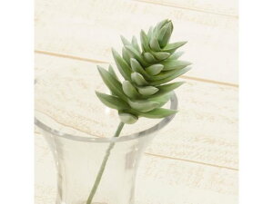 YDM/ JIJN^XsbN O[ YDMilfBXvC~[WAj FG4460-GR