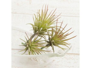 YDM/ ~j`WAsbN 3RC bhO[ YDMilfBXvC~[WAj FG4585-R/G