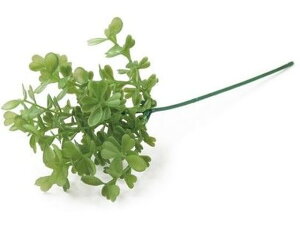 YDM/ {bNXEbhsbN _[NO[ YDMilfBXvC~[WAj FG4615-DGR